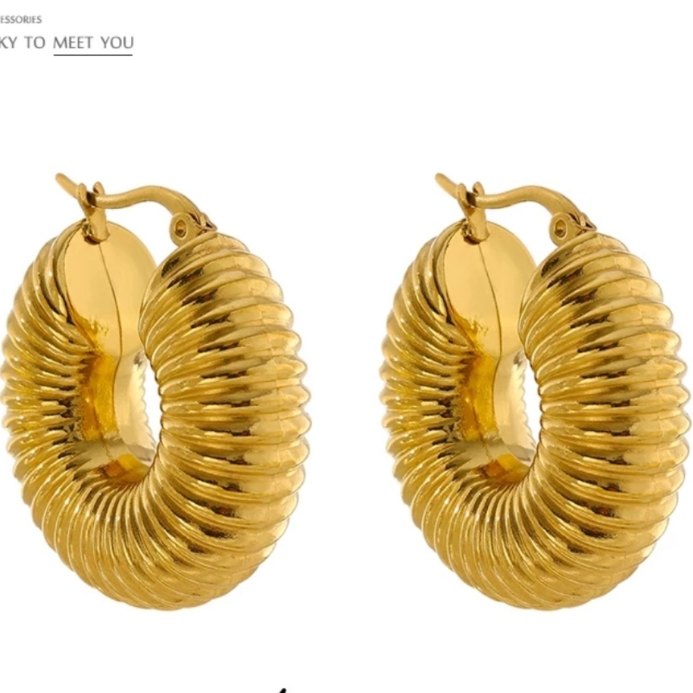 New. Trendy Chunky Hoop Earrings